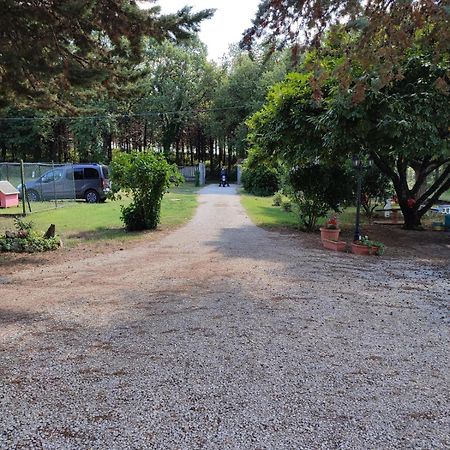 B&B Il Pizzagiallo Massa Martana Buitenkant foto