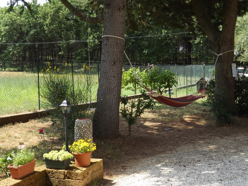 B&B Il Pizzagiallo Massa Martana Buitenkant foto