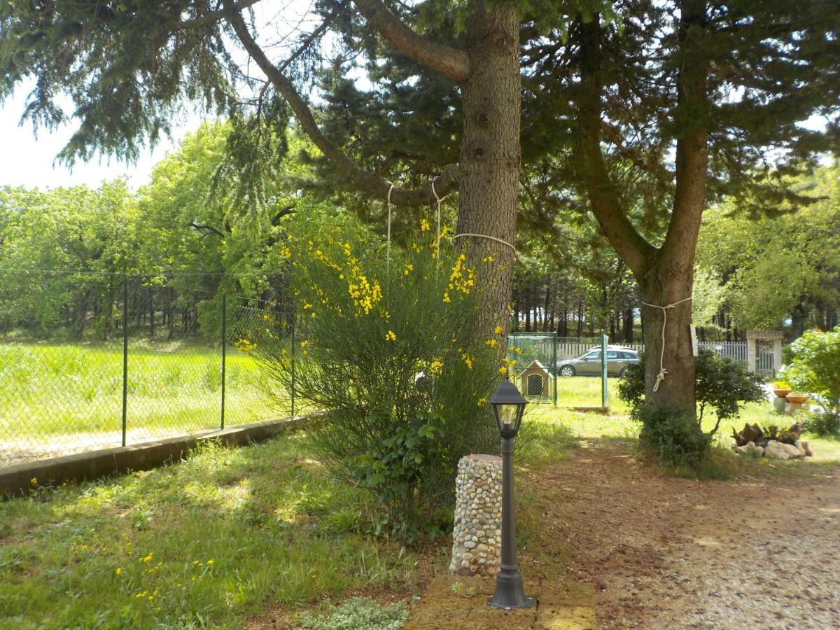 B&B Il Pizzagiallo Massa Martana Buitenkant foto